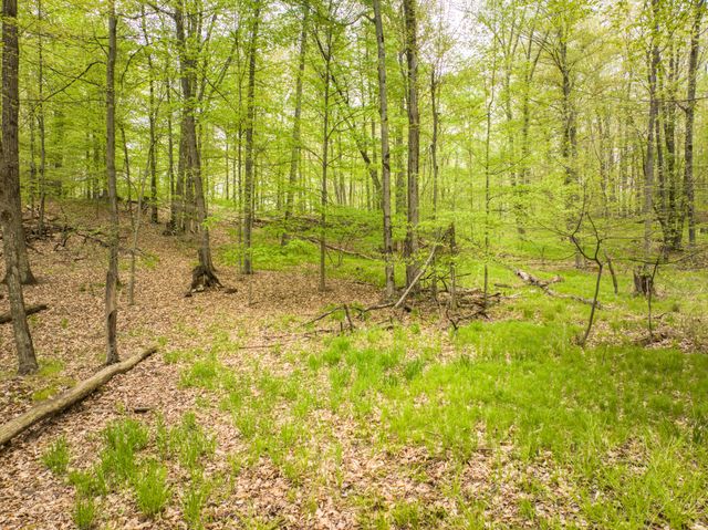 4848 Cutler Road, Six Lakes, MI 48886