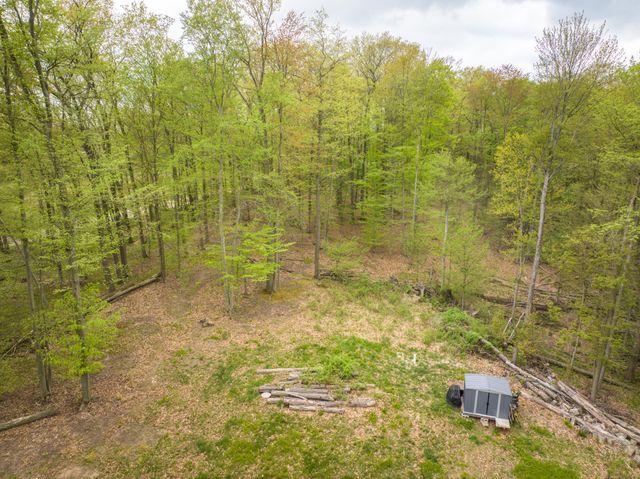 4848 Cutler Road, Six Lakes, MI 48886