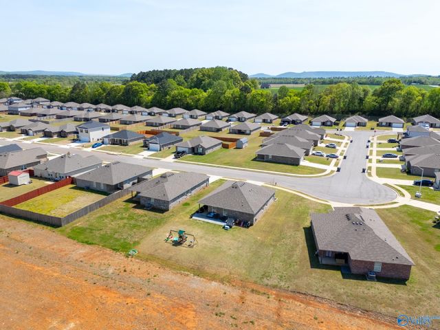 114 Domingues Avenue, Meridianville, AL 35759