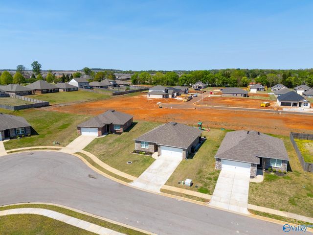 114 Domingues Avenue, Meridianville, AL 35759