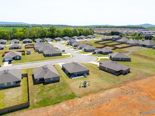 114 Domingues Avenue, Meridianville, AL 35759