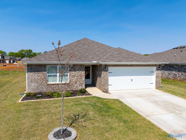 114 Domingues Avenue, Meridianville, AL 35759