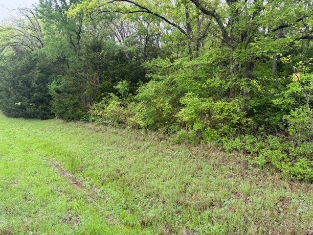 TBD PVT RD 7395, Wills Point, TX 75169