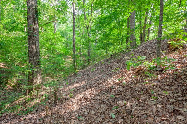 2151 Maysville Rd, Dickson, TN 37055