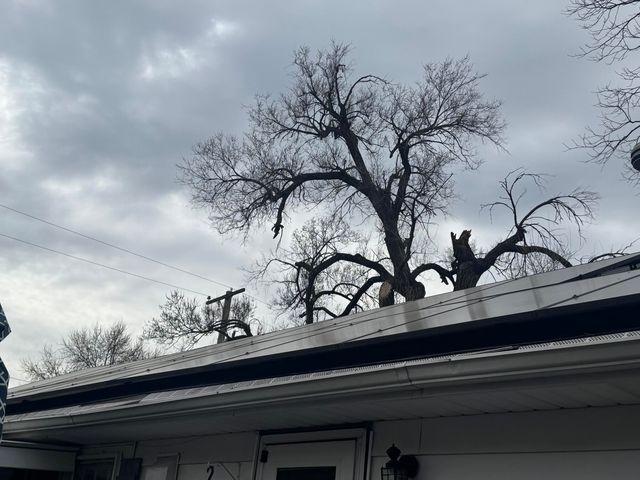 835 W Woodlawn Street, Springfield, MO 65803