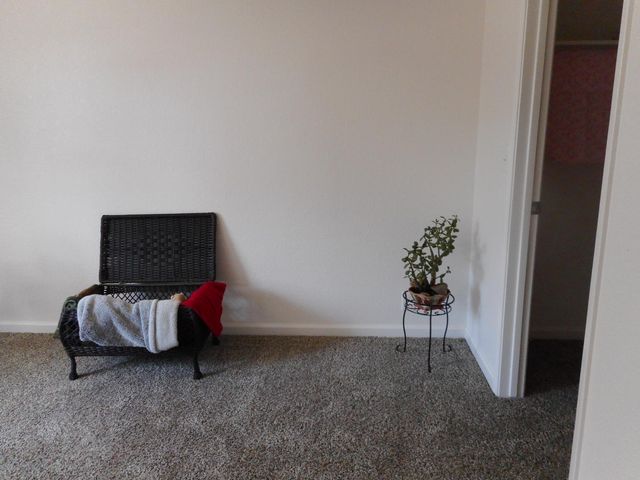 1432 Don Pedro Rd, Ceres, CA 95307