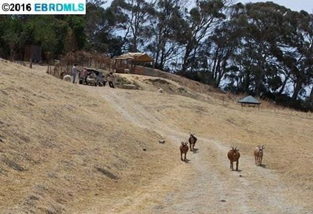 2700 San Pablo Dam Road, San Pablo, CA 94806