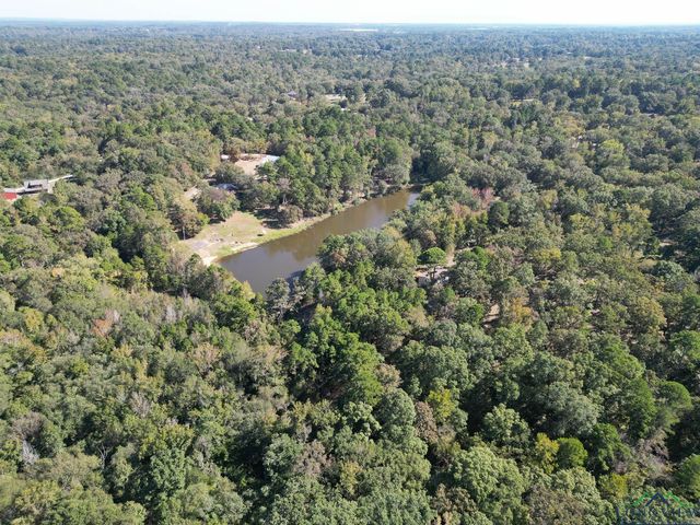 486 Strickland Hills Rd, Longview, TX 75605