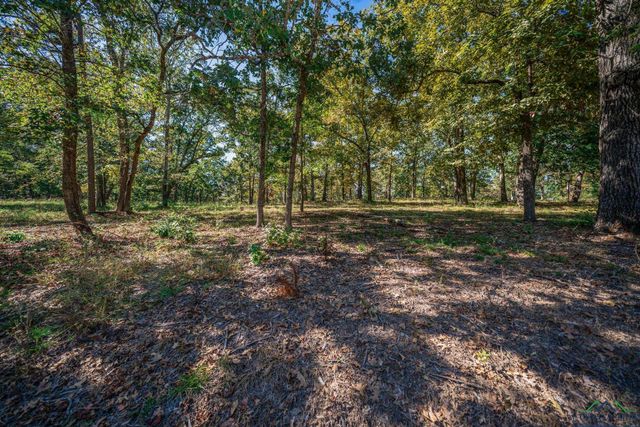 486 Strickland Hills Rd, Longview, TX 75605