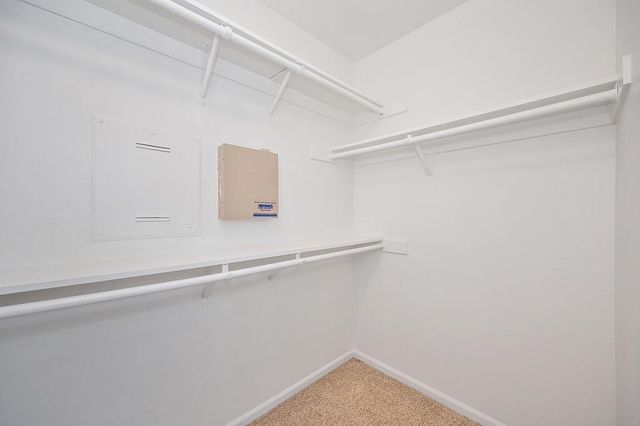 3719 Phillip Island Rd, West Sacramento, CA 95691