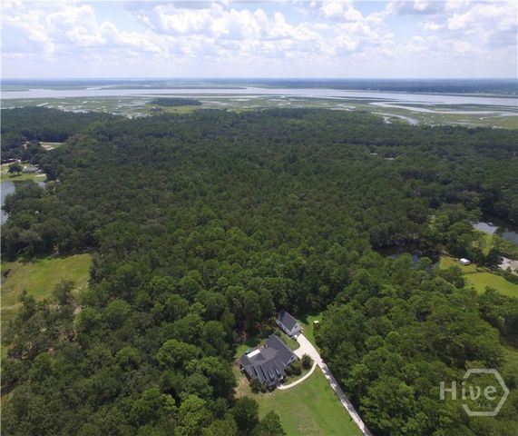 430 Fancy Court, Richmond Hill, GA 31324