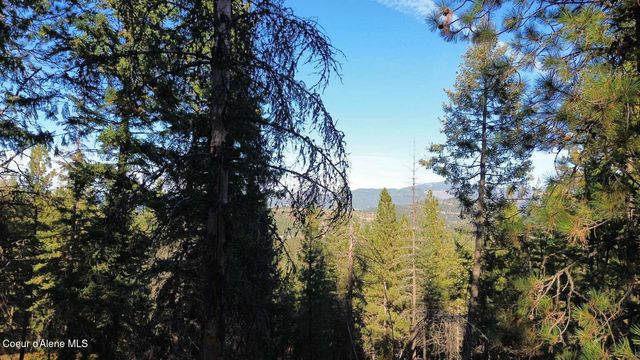 13413 Kelly Gulch Rd, Pinehurst, ID 83850 property photo