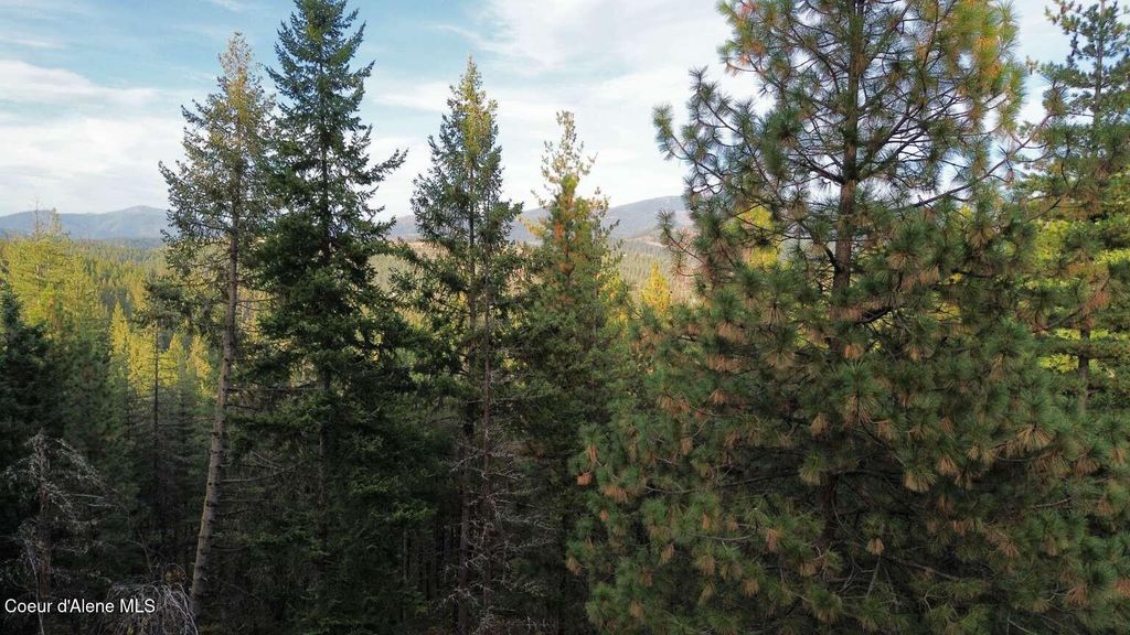 13413 Kelly Gulch Rd, Pinehurst, ID 83850 photo 2