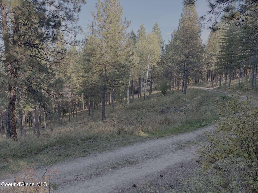 13413 Kelly Gulch Rd, Pinehurst, ID 83850 photo 3