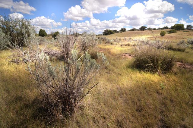 Tanglehead Lane Lot 19, Patagonia, AZ 85624
