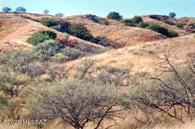 Tanglehead Lane Lot 19, Patagonia, AZ 85624