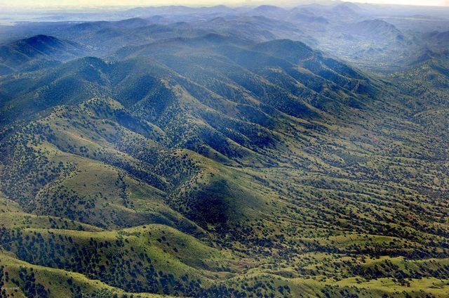 Tanglehead Lane Lot 19, Patagonia, AZ 85624