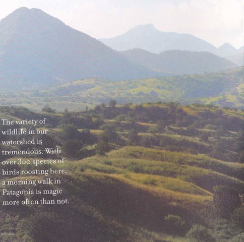 Tanglehead Lane Lot 19, Patagonia, AZ 85624