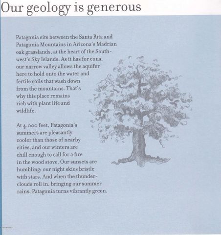 Tanglehead Lane Lot 19, Patagonia, AZ 85624