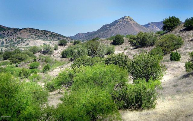 Tanglehead Lane Lot 19, Patagonia, AZ 85624