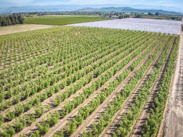 42682 Road 72, Dinuba, CA 93618