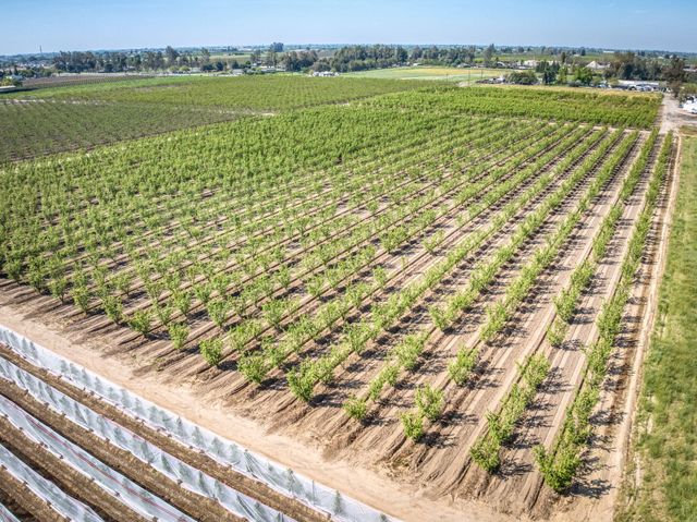 42682 Road 72, Dinuba, CA 93618