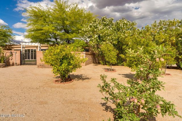 9777 N Korte Lane, Tucson, AZ 85704