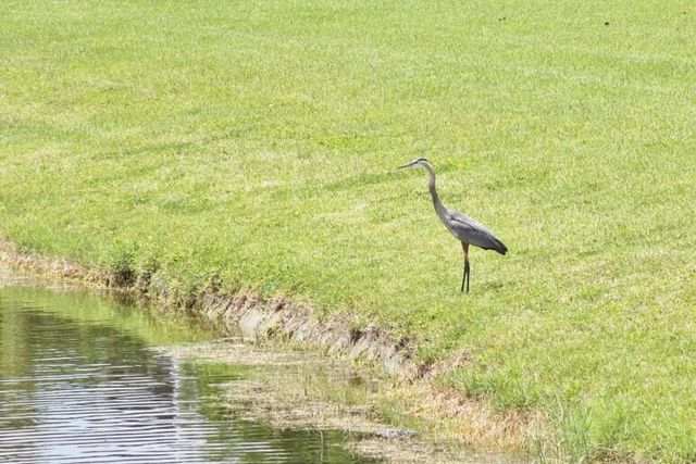 259 Sheffield K 259, West Palm Beach, FL 33417