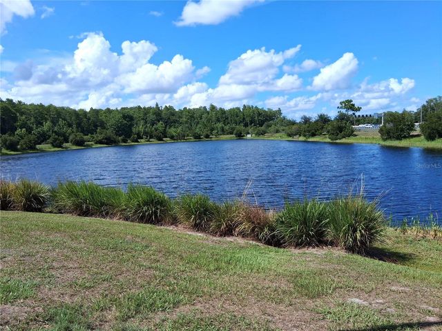 10009 EAGLE ROCK ALLEY, Orlando, FL 32832