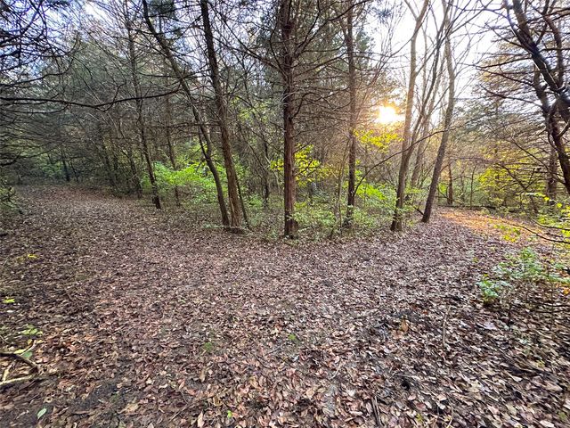 Wendy Oaks Rd, Central City, IA 52214