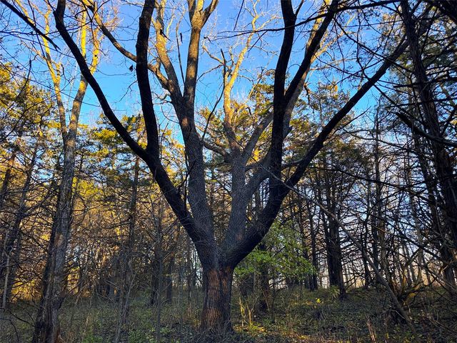 Wendy Oaks Rd, Central City, IA 52214