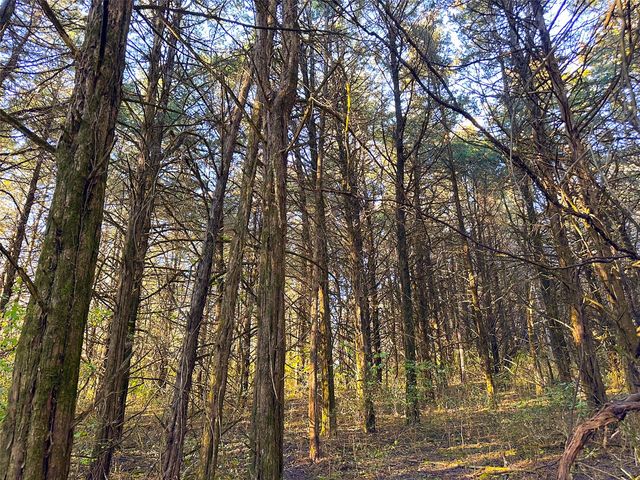 Wendy Oaks Rd, Central City, IA 52214