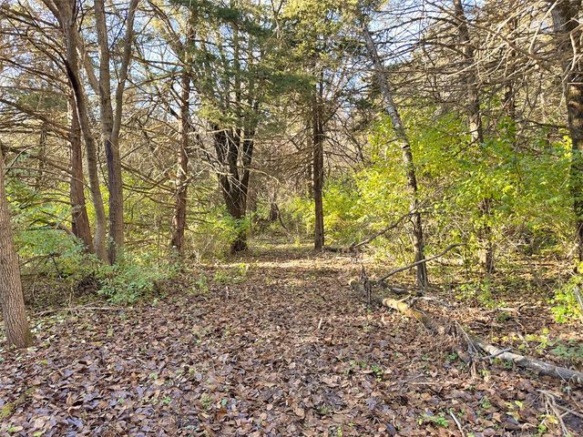 Wendy Oaks Rd, Central City, IA 52214