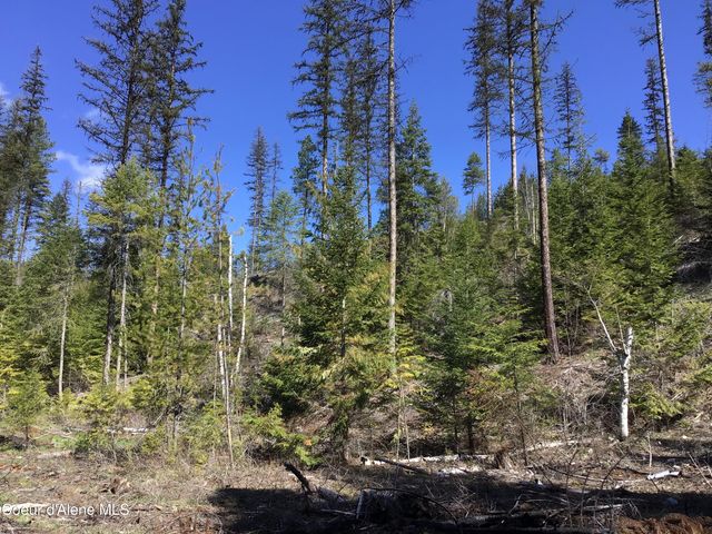 NKA Tuin Road, Moyie Springs, ID 83845