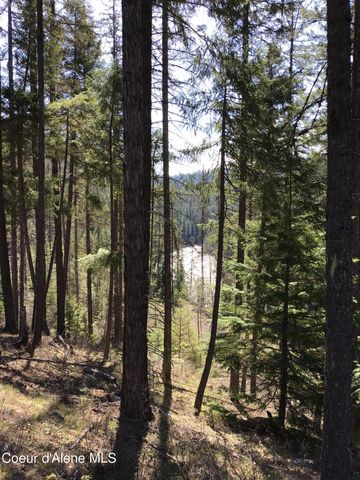 NKA Tuin Road, Moyie Springs, ID 83845