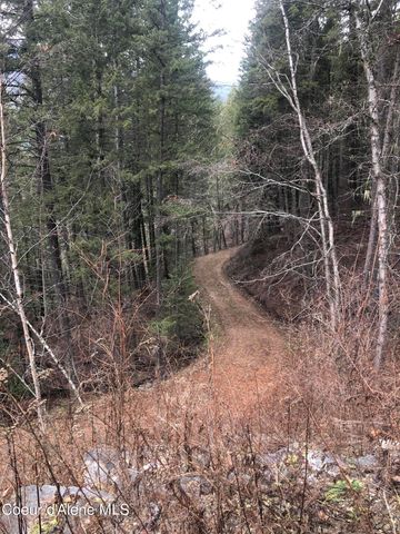 NKA Tuin Road, Moyie Springs, ID 83845