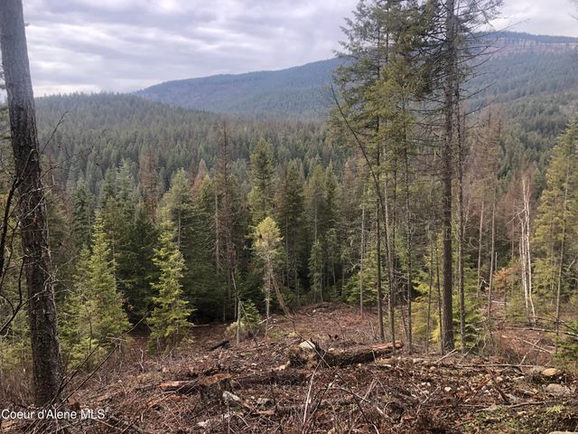 NKA Tuin Road, Moyie Springs, ID 83845