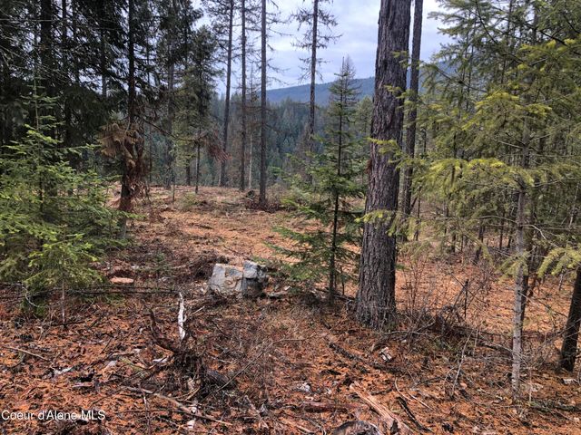 NKA Tuin Road, Moyie Springs, ID 83845