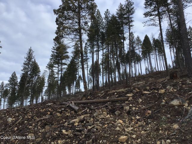NKA Tuin Road, Moyie Springs, ID 83845