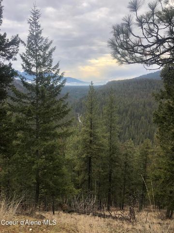 NKA Tuin Road, Moyie Springs, ID 83845