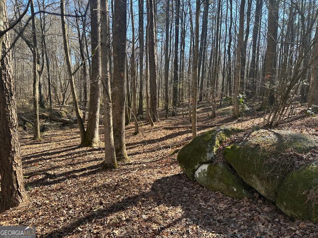 178 Crabapple Lane, Tyrone, GA 30290