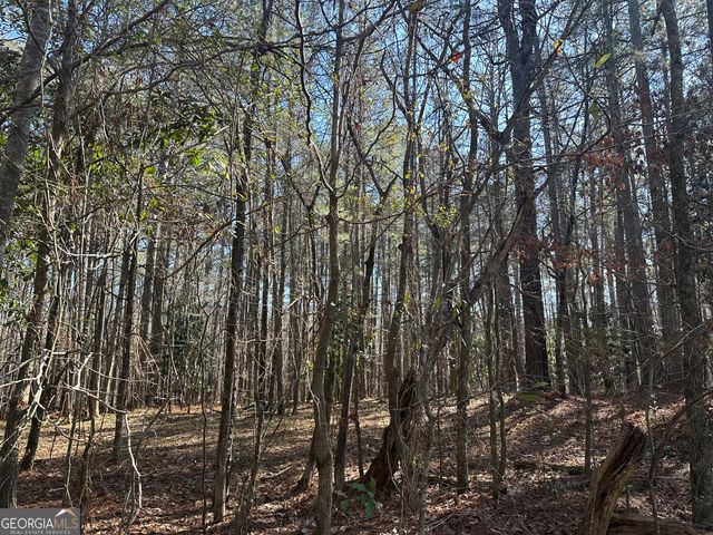 178 Crabapple Lane, Tyrone, GA 30290