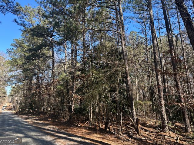 178 Crabapple Lane, Tyrone, GA 30290