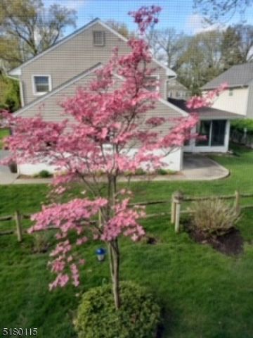 52 Otoole St, Westwood Boro, NJ 07675