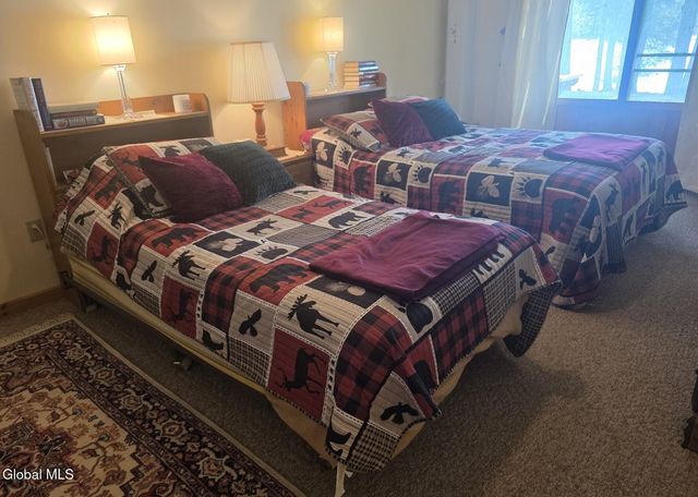 100 Crystal Lake Drive 8, Horicon, NY 12815