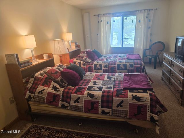 100 Crystal Lake Drive 8, Horicon, NY 12815