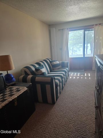 100 Crystal Lake Drive 8, Horicon, NY 12815