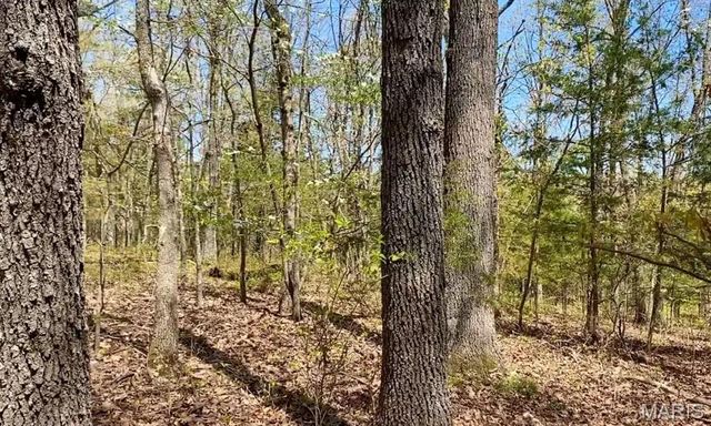 0 TBD, Dixon, MO 65459