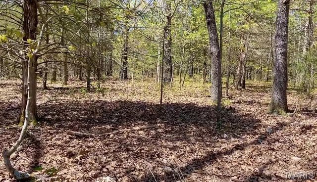 0 TBD, Dixon, MO 65459