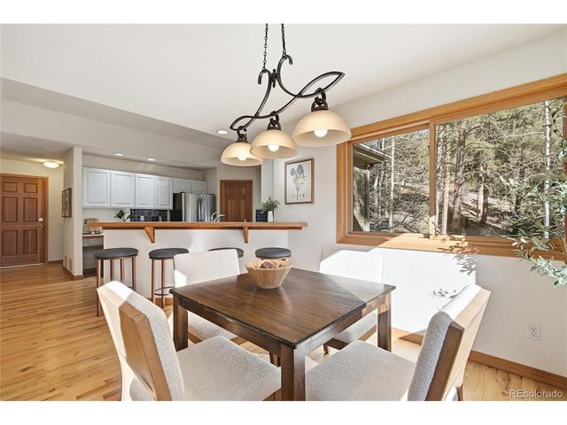 7030 Blue Creek Rd, Evergreen, CO 80439